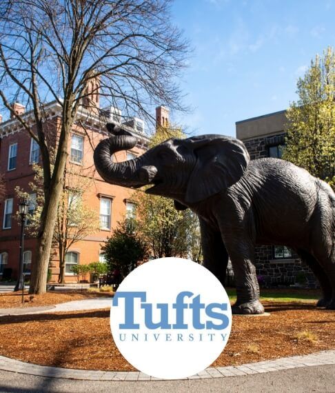 Outside view of Tufts University dental school building